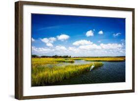 Wetland Herons II-Alan Hausenflock-Framed Photo