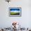 Wetland Herons II-Alan Hausenflock-Framed Photo displayed on a wall