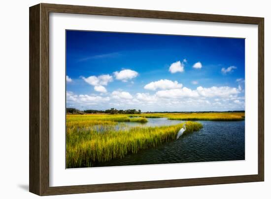 Wetland Herons II-Alan Hausenflock-Framed Photo