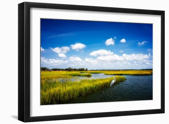 Wetland Herons II-Alan Hausenflock-Framed Photo