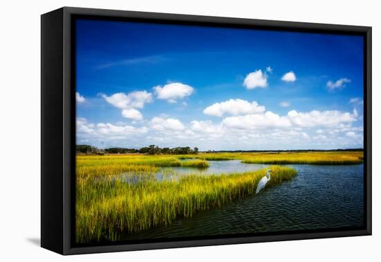 Wetland Herons II-Alan Hausenflock-Framed Stretched Canvas