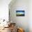 Wetland Herons II-Alan Hausenflock-Stretched Canvas displayed on a wall