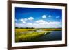 Wetland Herons II-Alan Hausenflock-Framed Photographic Print