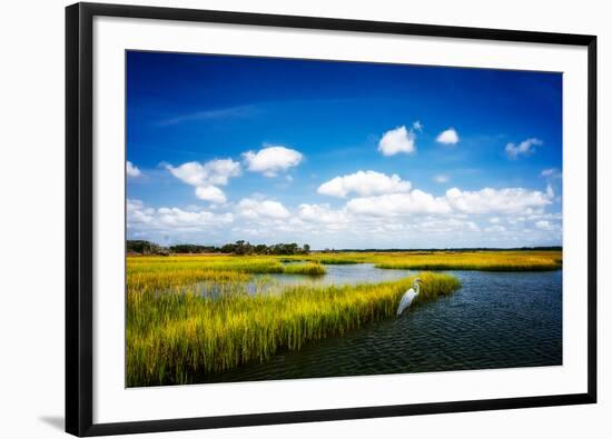 Wetland Herons II-Alan Hausenflock-Framed Photographic Print