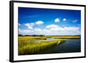 Wetland Herons II-Alan Hausenflock-Framed Photographic Print