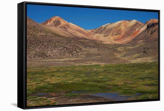 Wetland in the Atacama-JeremyRichards-Framed Stretched Canvas