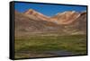 Wetland in the Atacama-JeremyRichards-Framed Stretched Canvas