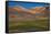 Wetland in the Atacama-JeremyRichards-Framed Stretched Canvas