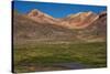 Wetland in the Atacama-JeremyRichards-Stretched Canvas