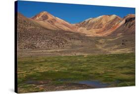 Wetland in the Atacama-JeremyRichards-Stretched Canvas