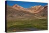 Wetland in the Atacama-JeremyRichards-Stretched Canvas