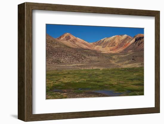 Wetland in the Atacama-JeremyRichards-Framed Photographic Print