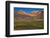 Wetland in the Atacama-JeremyRichards-Framed Photographic Print