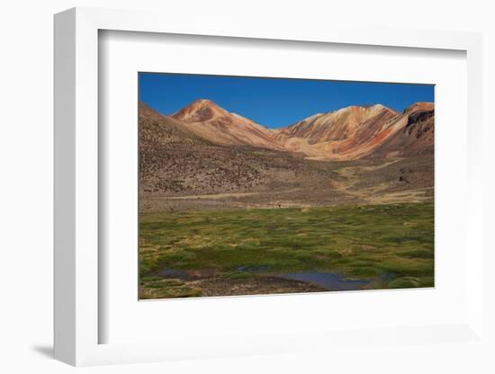 Wetland in the Atacama-JeremyRichards-Framed Photographic Print