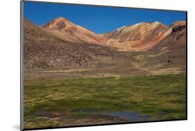 Wetland in the Atacama-JeremyRichards-Mounted Photographic Print
