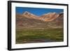 Wetland in the Atacama-JeremyRichards-Framed Photographic Print