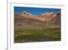 Wetland in the Atacama-JeremyRichards-Framed Photographic Print