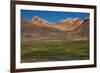 Wetland in the Atacama-JeremyRichards-Framed Photographic Print