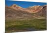 Wetland in the Atacama-JeremyRichards-Mounted Photographic Print