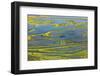 Wetland on the Aegean coast, Turkey.-Ali Kabas-Framed Premium Photographic Print