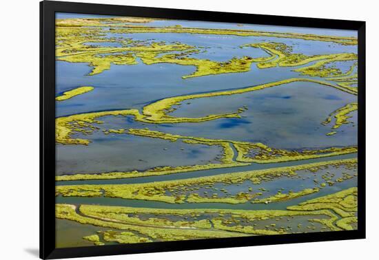 Wetland on the Aegean coast, Turkey.-Ali Kabas-Framed Photographic Print