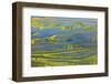 Wetland on the Aegean coast, Turkey.-Ali Kabas-Framed Photographic Print