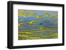 Wetland on the Aegean coast, Turkey.-Ali Kabas-Framed Photographic Print