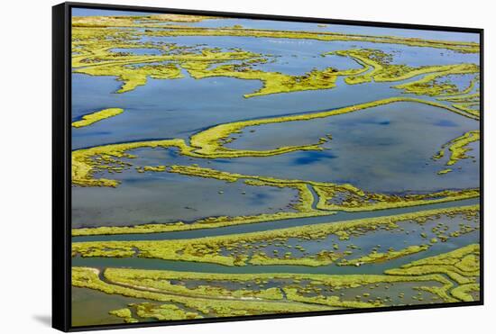 Wetland on the Aegean coast, Turkey.-Ali Kabas-Framed Stretched Canvas