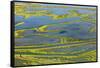 Wetland on the Aegean coast, Turkey.-Ali Kabas-Framed Stretched Canvas