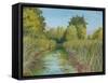 Wetland Sanctuary-Arnie Fisk-Framed Stretched Canvas