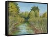 Wetland Sanctuary-Arnie Fisk-Framed Stretched Canvas