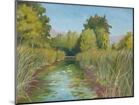 Wetland Sanctuary-Arnie Fisk-Mounted Art Print