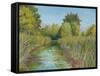 Wetland Sanctuary-Arnie Fisk-Framed Stretched Canvas