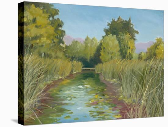 Wetland Sanctuary-Arnie Fisk-Stretched Canvas