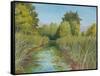 Wetland Sanctuary-Arnie Fisk-Framed Stretched Canvas