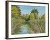 Wetland Sanctuary-Arnie Fisk-Framed Art Print