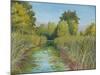 Wetland Sanctuary-Arnie Fisk-Mounted Art Print