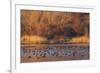 Wetland sunset-Ken Archer-Framed Photographic Print