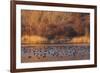 Wetland sunset-Ken Archer-Framed Photographic Print