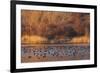 Wetland sunset-Ken Archer-Framed Photographic Print