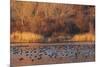 Wetland sunset-Ken Archer-Mounted Photographic Print