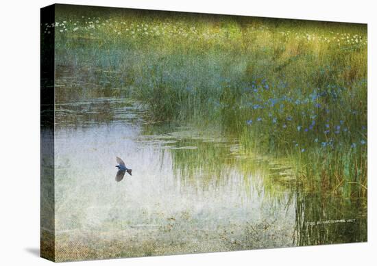 Wetland Tree Swallow-Chris Vest-Stretched Canvas