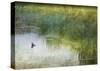 Wetland Tree Swallow-Chris Vest-Stretched Canvas