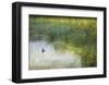 Wetland Tree Swallow-Chris Vest-Framed Art Print