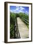 Wetland Walkway I-Alan Hausenflock-Framed Photographic Print