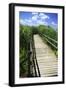 Wetland Walkway I-Alan Hausenflock-Framed Photographic Print