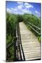 Wetland Walkway I-Alan Hausenflock-Mounted Photographic Print