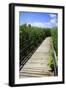 Wetland Walkway II-Alan Hausenflock-Framed Photographic Print