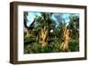 Wetland with Mangroves-null-Framed Art Print