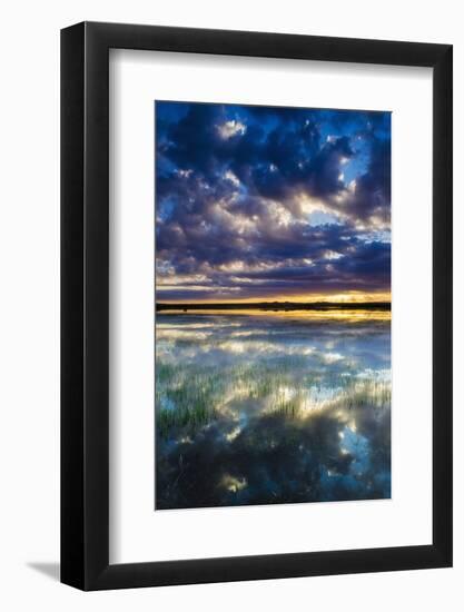 Wetlands at Sunrise, Bosque Del Apache National Wildlife Refuge, New Mexico, Usa-Russ Bishop-Framed Photographic Print